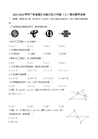 2023-2024学年广东省湛江市经开区八年级（上）期末数学试卷(含详细答案解析)