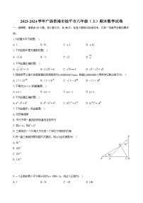 2023-2024学年广西贵港市桂平市八年级（上）期末数学试卷(含详细答案解析)