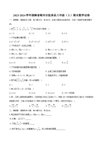 2023-2024学年湖南省郴州市桂东县八年级（上）期末数学试卷(含详细答案解析)