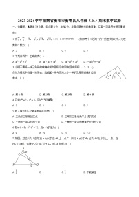 2023-2024学年湖南省衡阳市衡南县八年级（上）期末数学试卷(含详细答案解析)