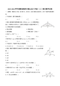 2023-2024学年湖南省衡阳市衡山县八年级（上）期末数学试卷(含详细答案解析)