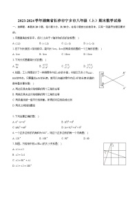 2023-2024学年湖南省长沙市宁乡市八年级（上）期末数学试卷(含详细答案解析)