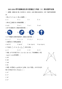 2023-2024学年湖南省长沙市望城区八年级（上）期末数学试卷(含详细答案解析) (1)