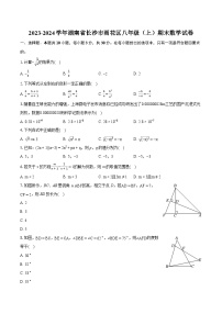 2023-2024学年湖南省长沙市雨花区八年级（上）期末数学试卷(含详细答案解析)