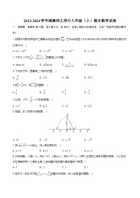 2023-2024学年湖南师大附中八年级（上）期末数学试卷(含详细答案解析)