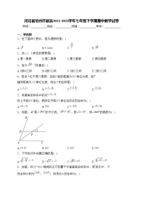 河北省沧州市献县2022-2023学年七年级下学期期中数学试卷(含答案)