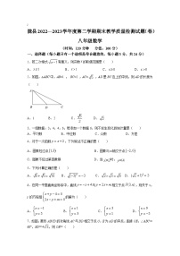 陕西省宝鸡市陇县2022-2023学年八年级下学期期末教学质量检测数学试卷(含答案)