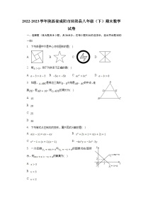 陕西省咸阳市泾阳县2022-2023学年八年级下学期期末考试数学试卷(含解析)