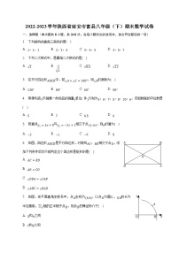 陕西省延安市富县2022-2023学年八年级下学期期末考试数学试卷(含解析)