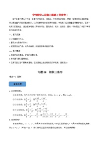 最新中考数学必考考点总结+题型专训  专题28 相似三角形篇 （全国通用）