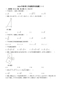 湖北省黄石市2023-2024学年八年级下学期月考数学试题