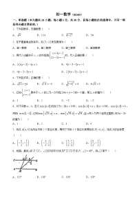 江苏省南通市崇川区南通大学附属初级中学2023-2024学年七年级下学期3月月考数学试题(无答案)