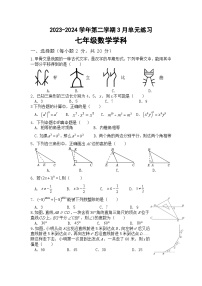 江苏省苏州市工业园区星港学校2023-2024学年下学期七年级数学3月练习