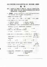 广西梧州市苍梧县2023——-2024学年九年级上学期1月期末数学试题