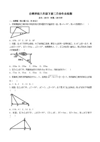 湖南省株洲市天元区白鹤学校2023-2024学年八年级下学期月考数学试题(无答案)