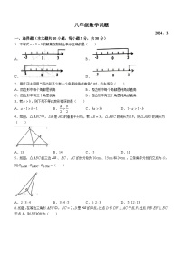 山东省菏泽市鲁西新区2023-2024学年八年级下学期3月月考数学试题(含答案)