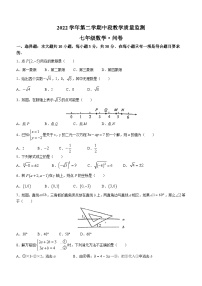 广东省广州市番禺区广东仲元中学2022-2023学年七年级下学期期中数学试题(无答案)