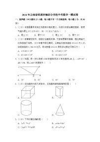 2024年云南省昭通市镇部分学校中考数学一模试卷（含解析）