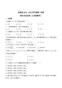 安徽省安庆市岳西县2023届九年级上学期期末考试数学试卷(含解析)