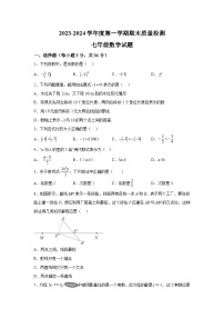 河北省秦皇岛市昌黎县2023-2024学年七年级上学期期末质量检测数学试卷(含解析)