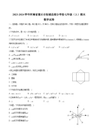 河南省商丘市柘城县部分学校2023-2024学年七年级上学期期末考试数学试卷(含解析)