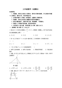 湖南省永州市道县2024届九年级上学期期末质量监测数学试卷(含答案)