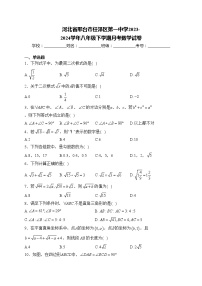 河北省邢台市任泽区第一中学2023-2024学年八年级下学期月考数学试卷(含答案)