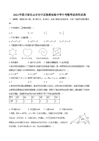 2023年四川省乐山市市中区海棠实验中学中考数学适应性试卷（含解析）