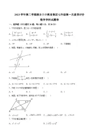 浙江省嘉兴市桐乡市2023-2024学年七年级下学期素养评价3月月考数学试题（含解析）