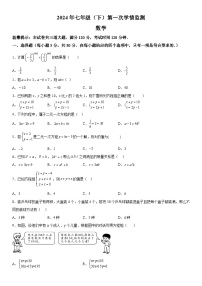 湖南省邵阳市新宁县水庙镇中心学校2023-2024学年七年级下学期月考数学试题（含解析）