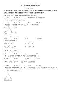 江苏省扬州市广陵区扬州市竹西中学2023-2024学年七年级下学期3月月考数学试题（含解析）