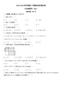 河南省平顶山市宝丰县2023-2024学年七年级下学期第一次月考数学试题（含解析）