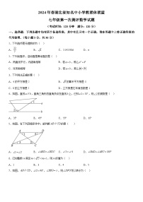 湖北省知名中小学教联体联盟2023-2024学年七年级下学期第一次月考数学试题（含解析）