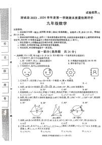 陕西省渭南市澄城县2023-2024学年上学期期末九年级数学试题