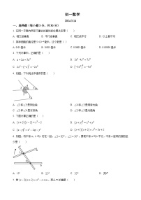 江苏省江阴市文林中学2023-2024学年七年级下学期3月限时作业数学试题（原卷版+解析版）