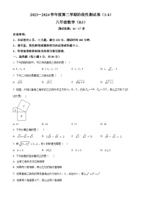 河南省驻马店市确山县2023-2024学年八年级下学期3月月考数学试题（原卷版+解析版）