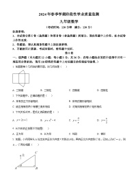 广西钦州市浦北县2023-2024学年九年级下学期3月月考数学试题（原卷版+解析版）