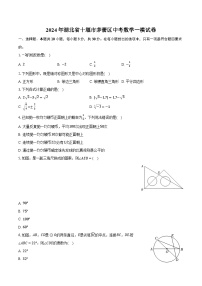 2024年湖北省十堰市茅箭区中考数学一模试卷（含解析）