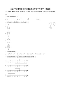 2024年安徽省宿州市灵璧县部分学校中考数学一模试卷（含解析）