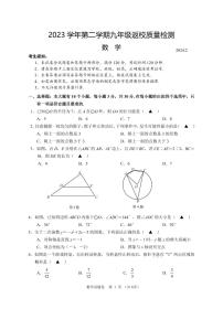 浙江省温州市龙湾九校联考2023—2024学年下学期九年级返校质量检测数学卷