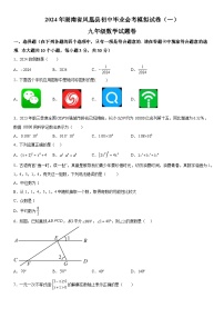 2024年湖南省凤凰县中考一模数学试题（含解析）