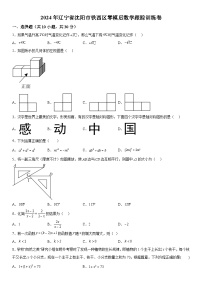 2024年辽宁省沈阳市铁西区零模后数学模拟预测题（含解析）