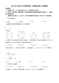 2024年河南省平顶山中考数学一模模拟试题（原卷版+解析版）