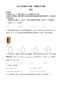 2024年河南省驻马店市九年级中考一模数学模拟试题（原卷版+解析版）