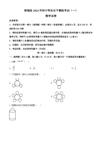 2024年陕西省渭南市澄城县中考一模数学试题（原卷版+解析版）