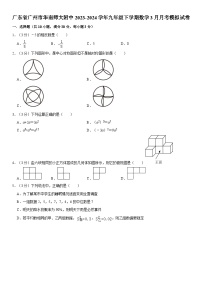 广东省广州市华南师范大学附属中学2023-2024学年九年级下学期数学3月月考模拟试卷