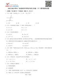 2022-2023学年广东省深圳中学初中部七年级（下）期中数学试卷