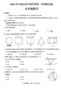 2024年河南省平顶山市九年级中考一模数学试题及答案