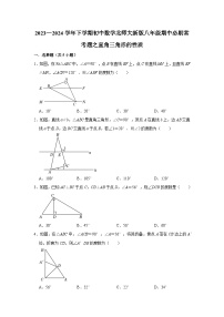 2023—2024学年下学期初中数学北师大新版八年级期中必刷常考题之直角三角形的性质