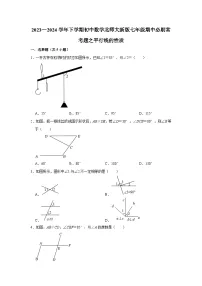 2023—2024学年下学期初中数学北师大新版七年级期中必刷常考题之平行线的性质